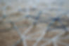 AdobeStock_200098419.jpeg