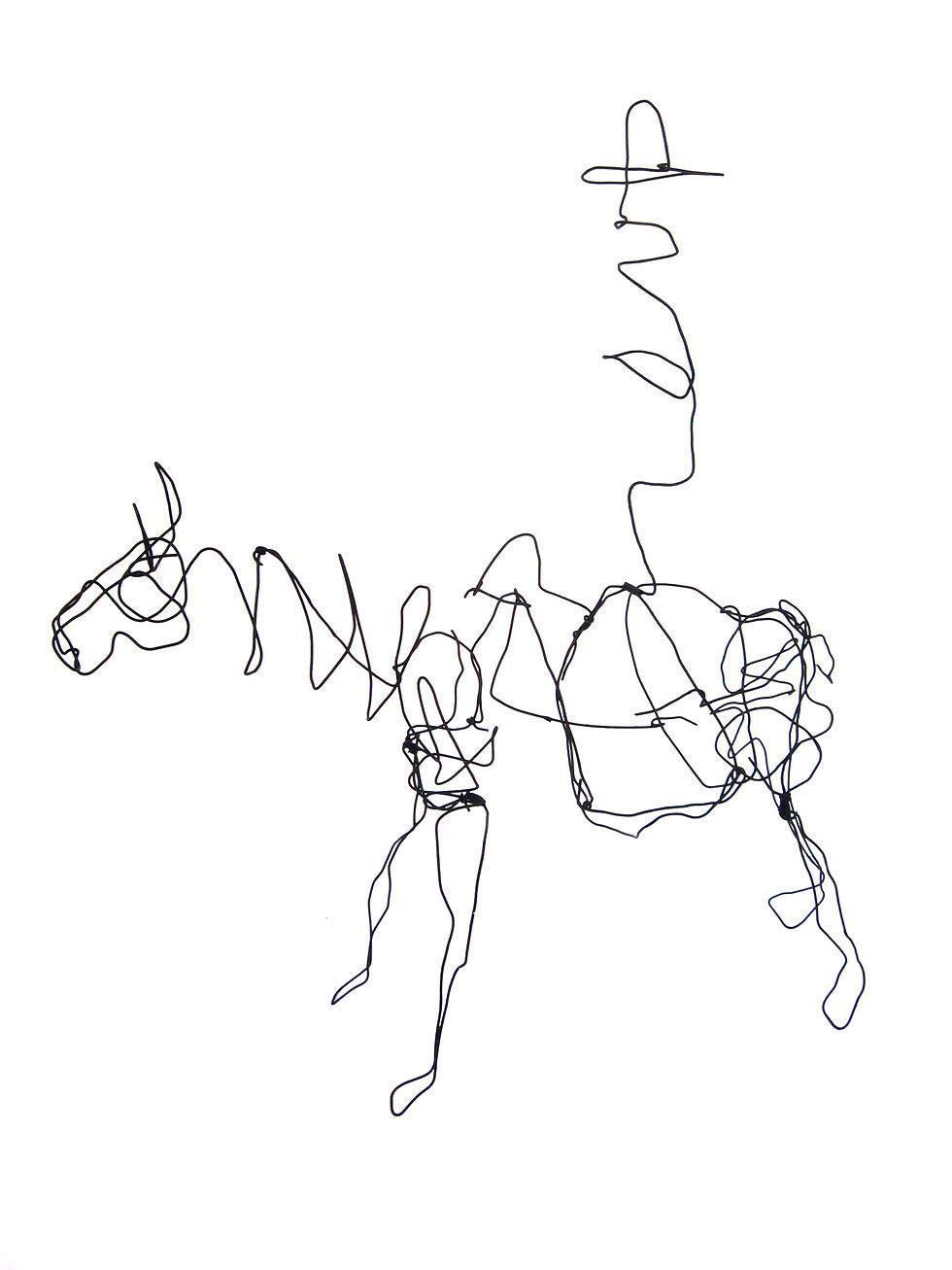 Sabanero