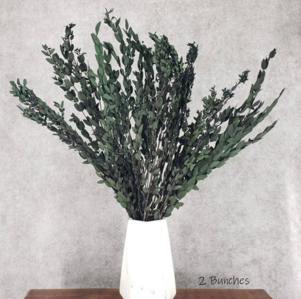 Parvifolia Eucalyptus Bunch - Preserved-Dried Small Teardrop - Green