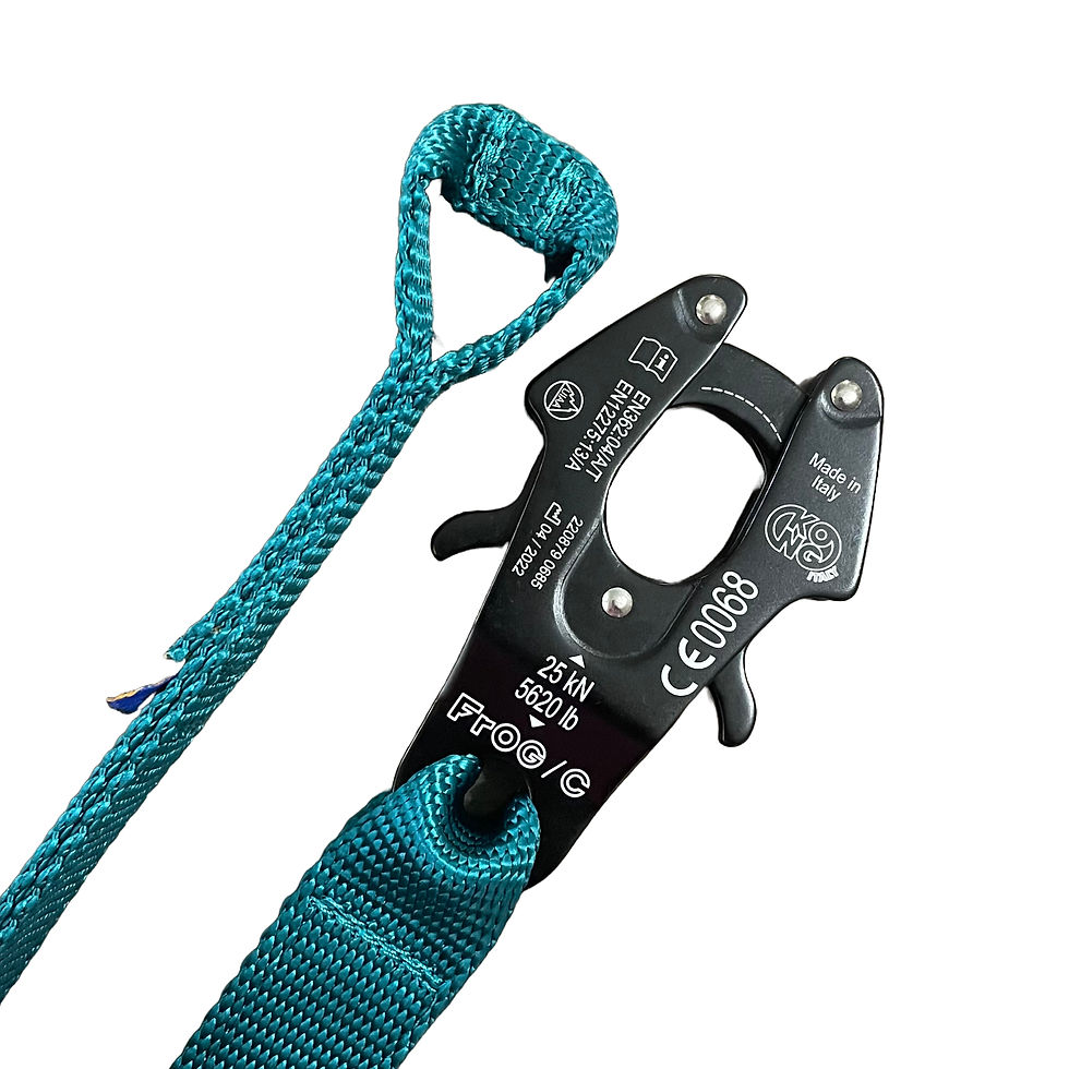 psa-k9-trial-leash-kirby-k9