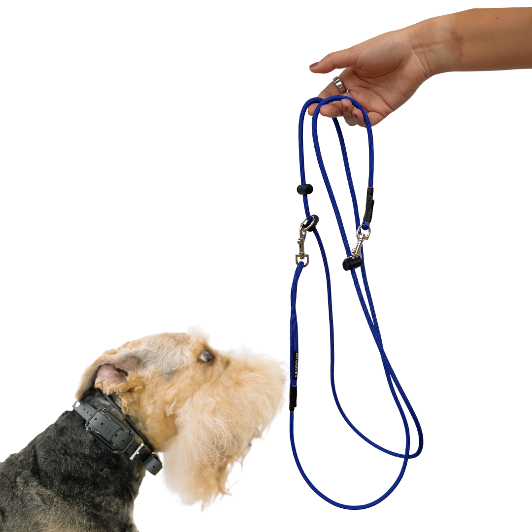 The MDT Hands-Free Leash 8ft