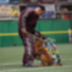 Bite Suit Design and Colors