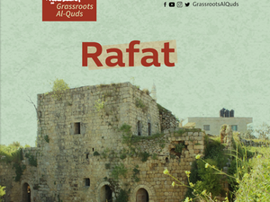 Rafat