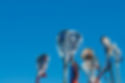 Lacrosse sticks.jpg