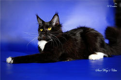 Ютта 8 месяцев (4)