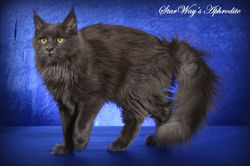 Афродита 7 месяцев (22)