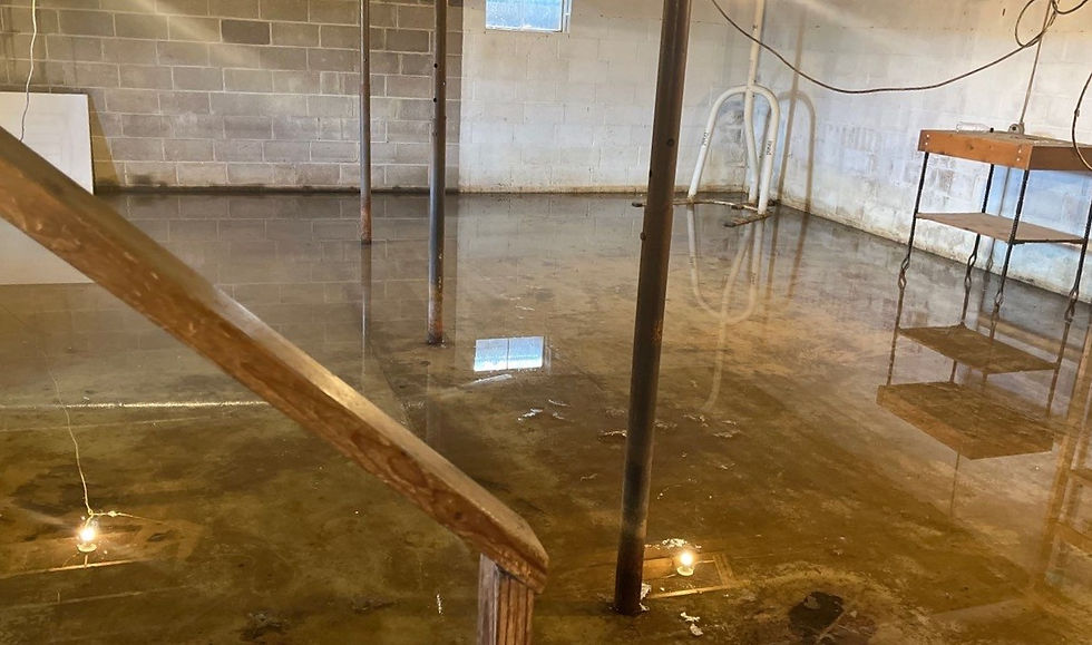 Flooded Basement