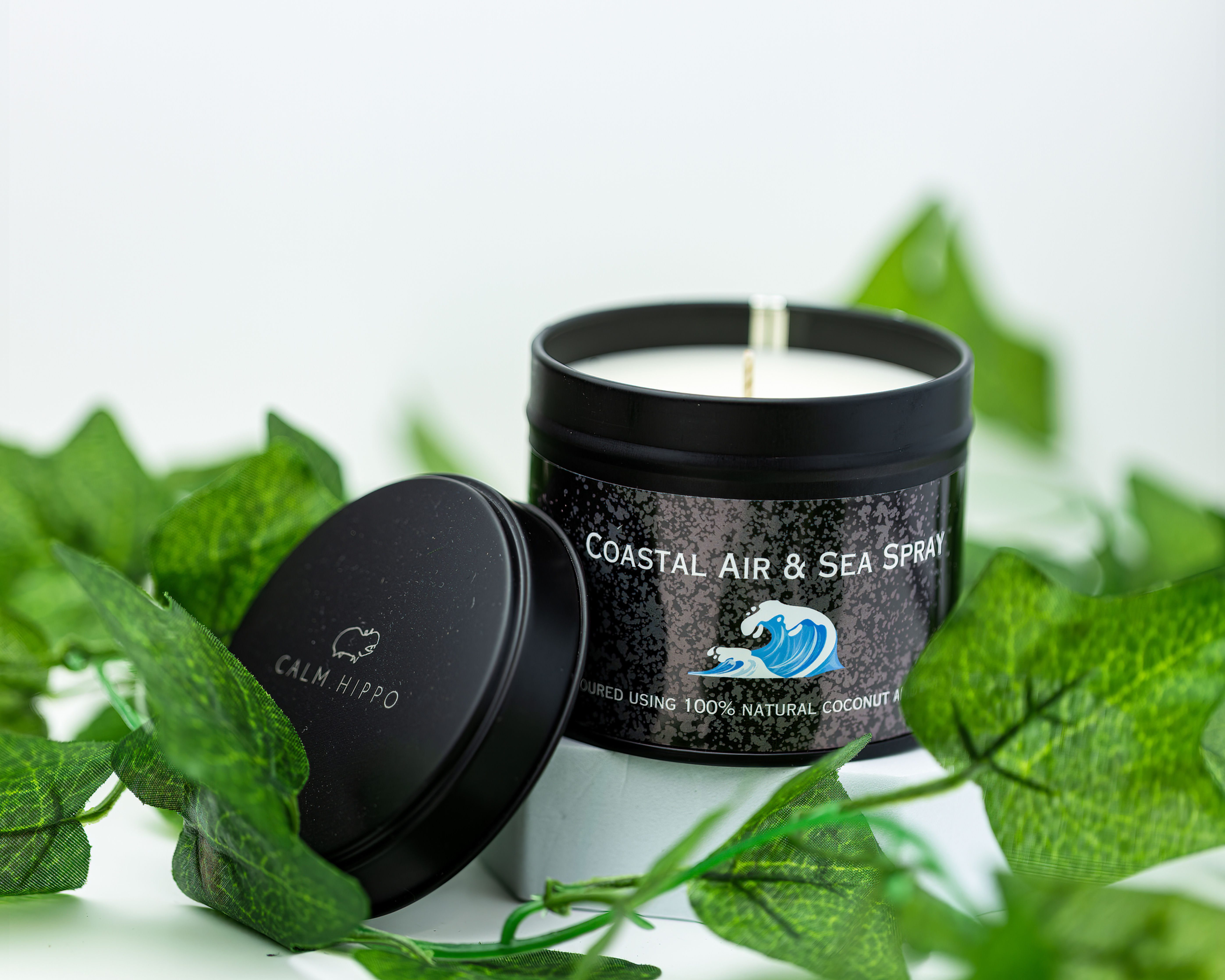 Coastal Air & Sea Spray Tin Candle
