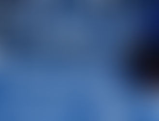 HELLY HANSEN “BIRD” textile 2011 A/W