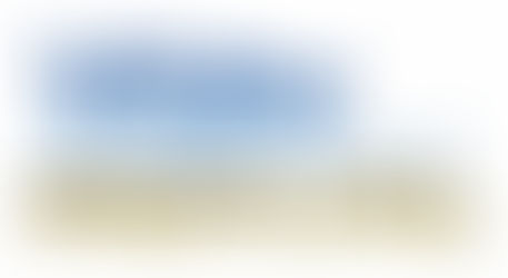 “VERY MENTAL” logo for is-nessS/S ’10