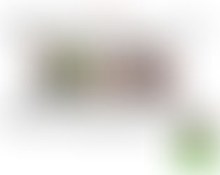 BEAMS T in AMSTERDAM @ BEAMS official site