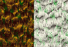 “Jamaican Camouflage” for sureshot S/S ’04