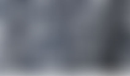 HELLY HANSEN “FLOWER02” textile 2012 A/W