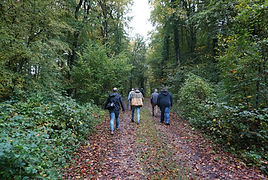 DSC00968.JPG