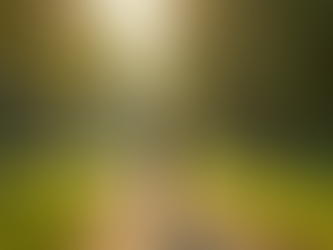 Cómo mejorar tu salud sin enfocarte en el peso