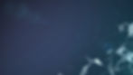Web BG 04.jpg