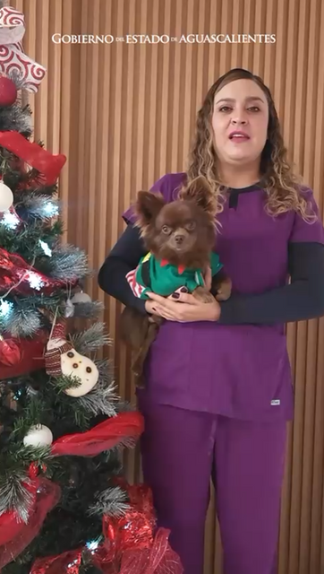 GOBIERNO DE AGS - ¡ESTA NAVIDAD, LA PROCURADURÍA ESTATAL DE PROTECCIÓN AL AMBIENTE QUIERE CONSENTIR A TU MASCOTA!