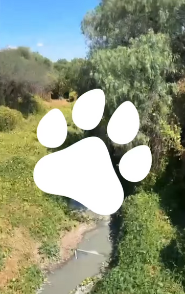 MUNICIPIO DE AGS - MÁS ARROYOS LIMPIOS