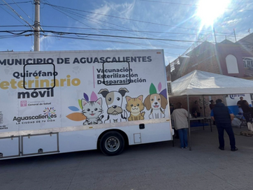 MUNICIPIO DE AGS - QUIRÓFANO VETERINARIO MÓVIL CIERRA 2025 CON JORNADAS EN VNSA, MIRADOR DE LAS CULTURAS Y EL MALACATE