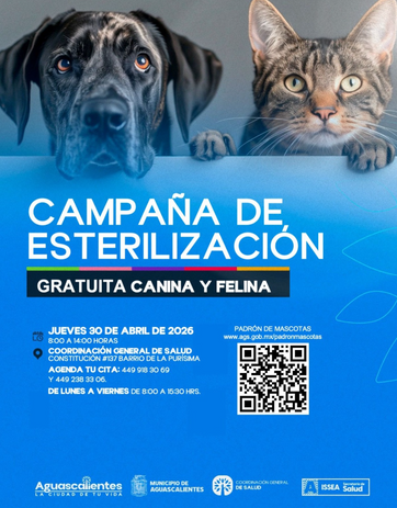 MUNICIPIO DE AGS - REALIZARÁN JORNADA DE ESTERILIZACIÓN DE CANINOS Y FELINOS EN EL BARRIO DE LA PURÍSIMA