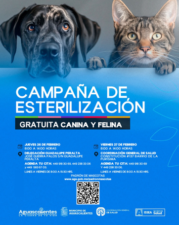 MUNICIPIO DE AGS - LLEVARÁN A CABO JORNADAS DE ESTERILIZACIÓN CANINAS Y FELINAS EN GUADALUPE PERALTA Y EN LA PURÍSIMA