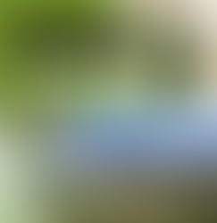 GOBIERNO DE AGS - VISITA EL LLANO