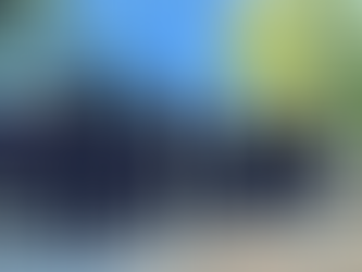 SEGURIDAD - UN TOTAL DE 3,909 PERSONAS HAN SIDO DETENIDAS EN EL PRESENTE AÑO EN EL MUNICIPIO DE JESÚS MARÍA COMO PARTE DEL PLAN ESTRATÉGICO DE SEGURIDAD Y JUSTICIA, BLINDAJE AGUASCALIENTES.