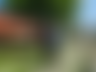 MUNICIPIO DE AGS - EMBELLECE MUNICIPIO LA AVENIDA GÓMEZ MORÍN