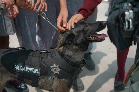 JM - BINOMIOS K9 DE JESÚS MARÍA ACERCAN SU LABOR A ESTUDIANTES 