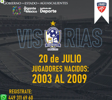 DEPORTE - VISORIAS