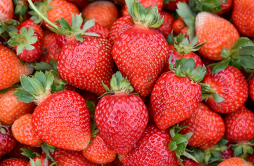 GOBIERNO DE AGS - AGUASCALIENTES APOYA A SUS PRODUCTORES PARA QUE OBTENGAN MEJORES GANANCIAS CON NUEVOS CULTIVOS