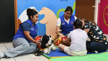 GOBIERNO DE AGS - SEÑORA JINGLES, LA PERRITA QUE AYUDA A CAMBIAR VIDAS EN EL DIF ESTATAL