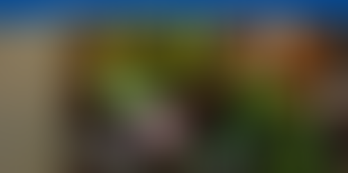 DEPORTE - CERTIFICAN LA RUTA DEL 21K EL GIGANTE DE MÉXICO CON ESTÁNDARES INTERNACIONALES