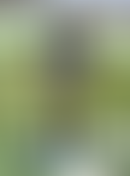 GOBIERNO DE AGS - JOVEN FUTBOLISTA DE AGUASCALIENTES ES CONVOCADO A LA SELECCIÓN NACIONAL MEXICANA SUB-20