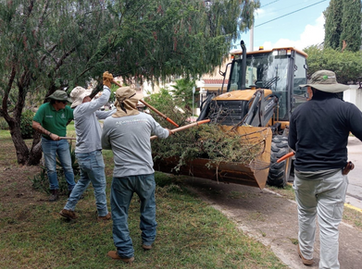MUNICIPIO DE AGS - MUNICIPIO INTENSIFICA ACCIONES DE LIMPIEZA Y CONSERVACIÓN EN EL ARROYO EL MOLINO