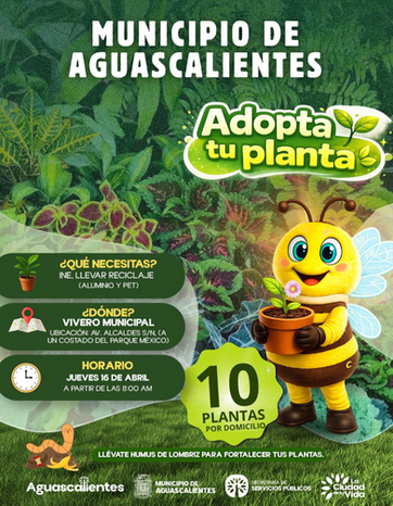 MUNICIPIO DE AGS - CONTINÚAN LOS JUEVES DE DONACIÓN DE PLANTAS Y ÁRBOLES EN EL VIVERO MUNICIPAL