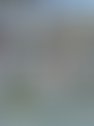 GOBIERNO DE AGS - MEZCALES DE AGUASCALIENTES ESTRENAN IMAGEN