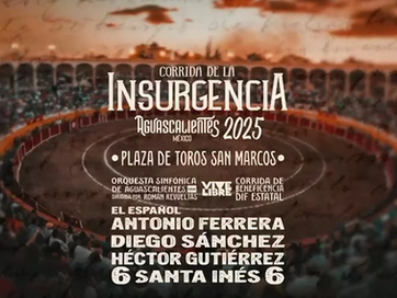 GOBIERNO DE AGS - CORRIDA DE LA INSURGENCIA 2025