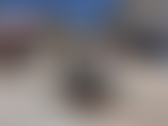 MUNICIPIO DE AGS - MUNICIPIO DE AGUASCALIENTES REALIZA LA PAVIMENTACIÓN CON CONCRETO HIDRÁULICO EN VIALIDADES DE LOS PERICOS