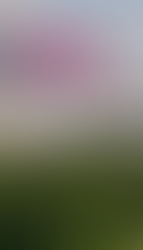 TURISMO - AGUASCALIENTES LISTO PARA LAS VENDIMIAS DE LA RUTA DEL VINO