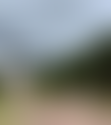 GOBIERNO DE AGS - VISITA LOS ALAMITOS EN LA SIERRA FRÍA: NATURALEZA, TALLERES Y EXPERIENCIAS ÚNICAS