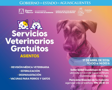 GOBIERNO DE AGS - EN ASIENTOS CUIDAMOS A LOS QUE MÁS QUIERES