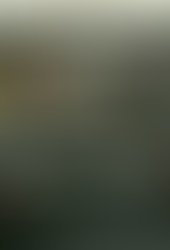 GOBIERNO DE AGS - GOBIERNO DEL ESTADO PONE EN MARCHA EL OPERATIVO “LA FUERZA DEL GIGANTE” CON RECORRIDOS DE VIGILANCIA EN LAS COLONIAS DE AGUASCALIENTES