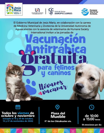 JM - ¿TIENES MICHIS O PELUDOS? VEN A VACUNARLOS