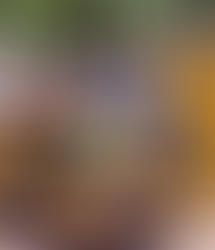 MUNICIPIO DE AGS - PERMANECE LEO MONTAÑEZ ATENTO A CONTINGENCIAS TRAS INTENSA LLUVIA