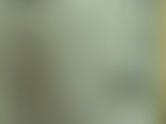 福祉大保育園無償化、無事間に合いました