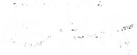 rogo遊楽庵_反転.png