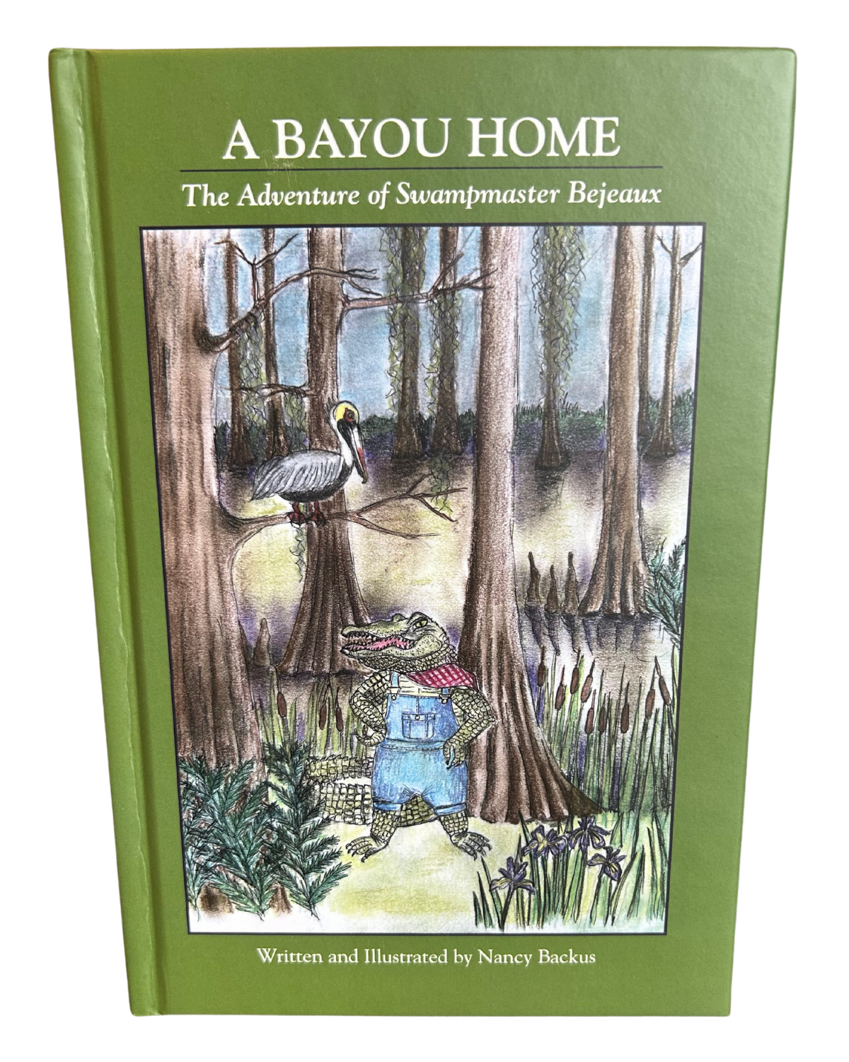 A Bayou Home: The Adventures of Swampmaster Bejeaux