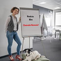 BeratungBürohund.jpg