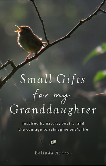 Small Gifts for My Granddaughter (cover1).jpg